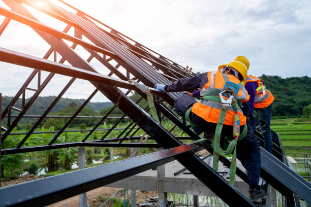 Best Metal Roofing Contractor  in Utica, NE